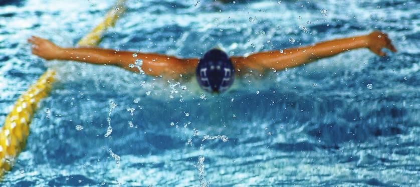 Nuoto Adulti LIBERA BALNEAZIONE > MATTINA Lun - Mer - Sab 9.00-14.00 Mar - Gio - Ven 7.30-14.00 ingresso singolo 8,50 tessera 10 ingressi 55,00 + iscrizione 15,00 CON ISTRUTTORE da Martedì a Sabato 9.