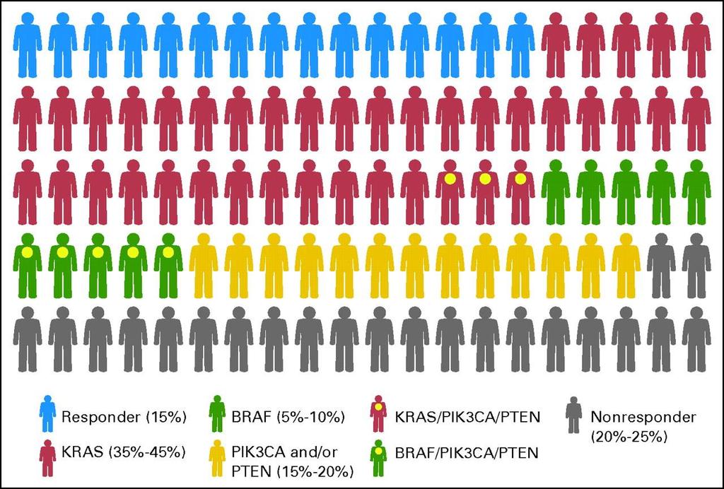 Graphic representation of a cohort of 100 patients with colorectal cancer