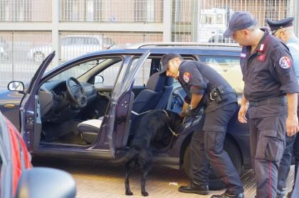 I Carabinieri di Taranto hanno eseguito trenta di ordinanze di custodia cautelare della DDA di Lecce per traffico di stupefacenti.