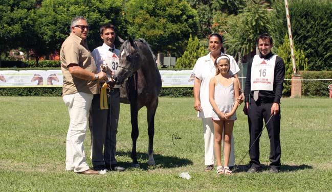 Gold Medal Fillies L FARAHDIBA Wh Justice x Feemi O: Stefano