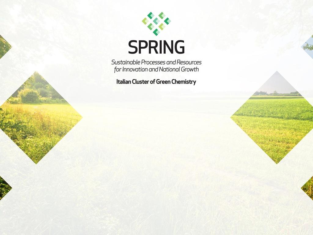 Il Cluster Tecnologico Nazionale della Chimica Verde SPRING a beneficio della Bioeconomy italiana Bio Based Industries