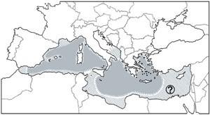 Distribuzione