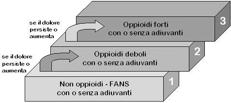 Figura 6 Rappresentazione Analgesic ladder OMS Il primo gradino prevede l'utilizzo di farmaci non oppioidi, come Paracetamolo e Farmaci Antinfiammatori Non Steroidei (FANS) quali Acido