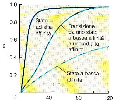 La transizione tra due stati (ad alta