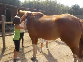 attività sportive: equitazione, tiro con l arco, trekking,