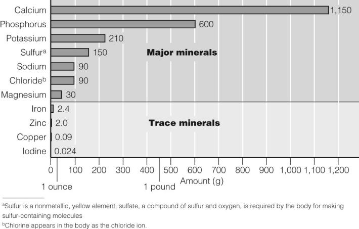 Classificazione dei sali minerali Macroelementi Se fabbisogno > 100 mg al giorno Ca, P, Na, K, Cl, Mg, S Microelementi (o oligoelementi) Se fabbisogno < 100 mg al giorno Fe, I,