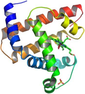 Kitano) Biologia sintetica proteina DNA RNA cube (Afonin