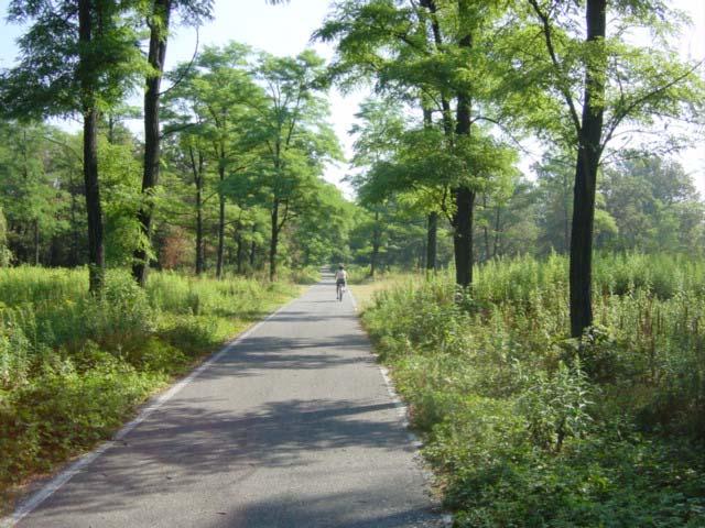 Pista ciclabile