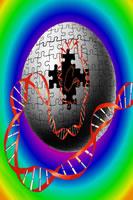 La scoperta del ribozima, un particolare acido ribonucleico (RNA), stretto parente del DNA, il codice genetico della vita, ha rafforzato l idea che all inizio la vita sia stata rappresentata da