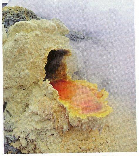 Masse di Archaea che prediliggono ambienti caldi e acidi e formano un tappeto arancione all interno