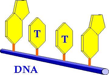 Protezione da parte dell argilla - UV radiation Scappini et