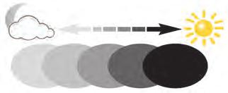 PHOTOCHROMIC: n 24 occhiali, in 4 colori, diottrie assortite da +1,00 a +3,50.