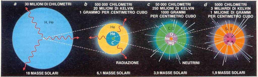 Le fasi finali della evoluzione stellare diventano sorgenti di radiazione elettromagnetica e corpuscolare Stelle: nascono da contrazioni di nubi molecolari: gas e polveri.