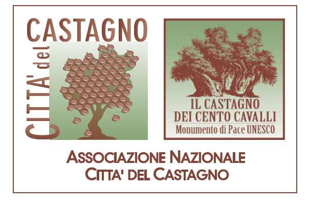 0583/ 644911 fax 0583/644901 Presidente: e mail - presidente@cittadelcastagno.it Associazione e.