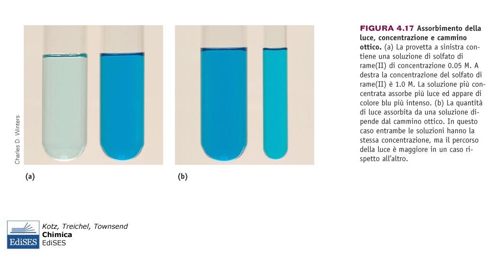 a) La soluzione + concentrata assorbe di+ e appare + colorata b) La quantità di luce assorbita dipende