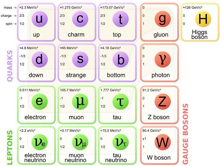 Il modello standard: bosoni mediatori I bosoni mediatori (particelle a spin unitario) nel modello standard sono: Fotoni: mediatori delle interazioni elettromagnetiche Gluoni: mediatori delle