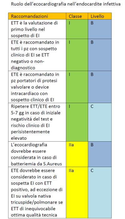 L ETT va perciò effettuato quanto prima in tutti i pazienti con sospetta endocardite; nel caso di ETT negativo ma elevata probabilità di EI va eseguito ETE.