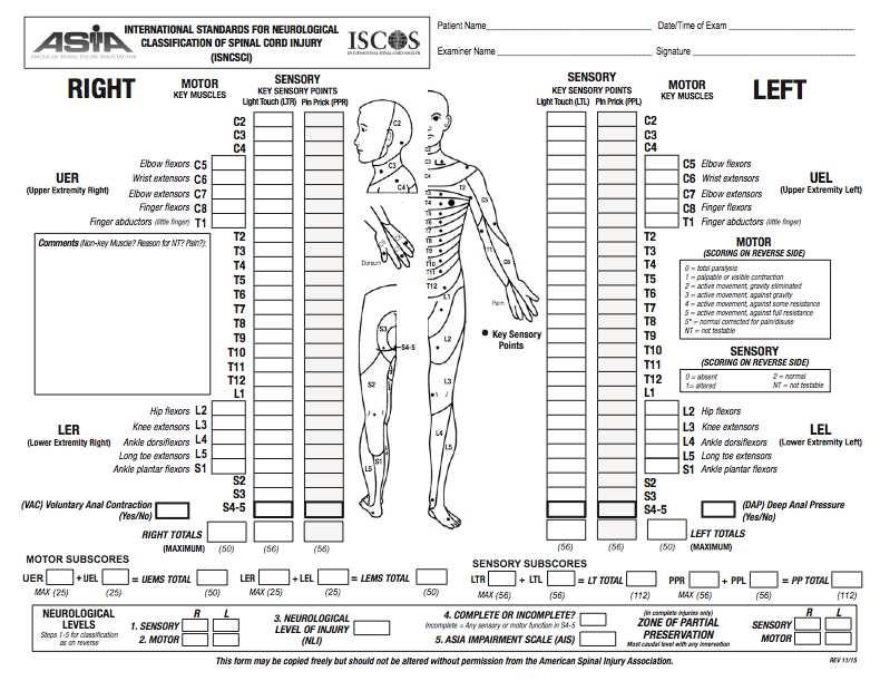 Scala nel dominio del Body Function per classificare la gravità e la