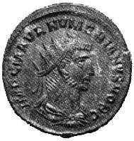 Cohen 188, R.I.C. 208. (k) Numeriano Foto 13. Antoniniano di 4,15 grammi coniato ad Antiochia nel 283.