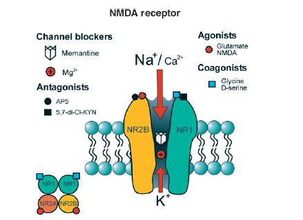 Ca2+