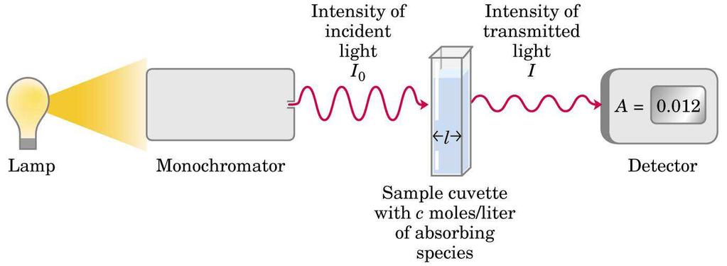 L interazione dell energia radiante a determinate lunghezze d onda con la materia viene rivelata da un apposito strumento, lo spettrofotometro.