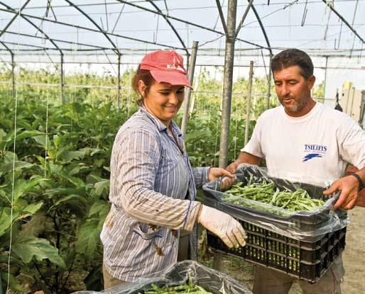 Quaderno della I punti vendita dei produttori Nella Regione la vendita diretta è presente in varie forme, ma non ci sono mercatini o fiere dedicati esclusivamente alle aziende biologiche; i