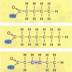 Lipidi: Funzioni Immagazzinamento di energia (grassi e oli) Membrane cellulari (fosfolipidi) Cattura di energia luminosa (carotenoidi) Ormoni e vitamine (steroidei e acidi