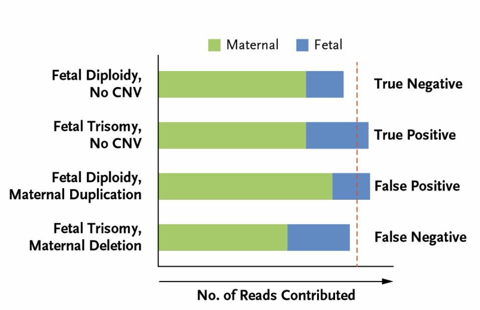 Riduce il rischio di falsi positivi determinati da CNV