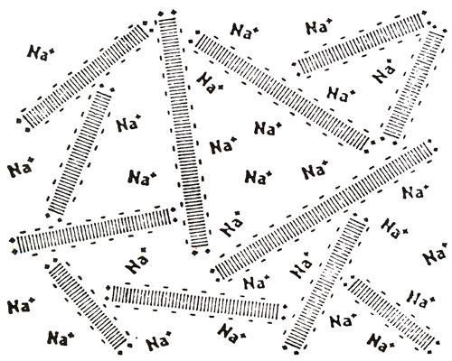 Per la disposizione relativa tra cationi e anioni all interno del reticolo cristallino dei minerali argillosi, le cariche negative si dispongono lungo la