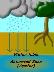 This diagram shows how water from precipitation filters down to the saturated zone.