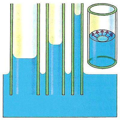 Also called capillarity, the name given to various surface tension phenomena in which the surface of a liquid confined in a narrowbore tube rises above or is depressed below the level it would have