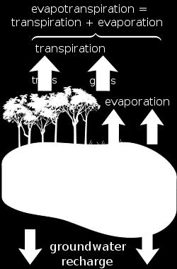 The area where permeable soil allows water to seep into the ground is known as the recharge area.