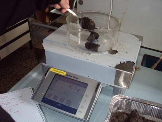 Una volta che il campione ha terminato di asciugarsi, viene prelevata un aliquota pari a 200 g che è posta in becker di pirex tarati.