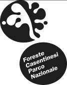 Convenzione tra il Parco Nazionale delle Foreste Casentinesi e l Unione dei Comuni del Casentino per l esecuzione di un programma di interventi di miglioramento e razionalizzazione dell attività