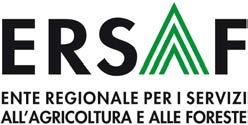 Gli ibridi a ciclo più breve o seminati prima hanno raggiunto a fatica la maturazione fisiologica e l umidità della granella alla raccolta è risultata molto elevata,con conseguenti problemi e costi