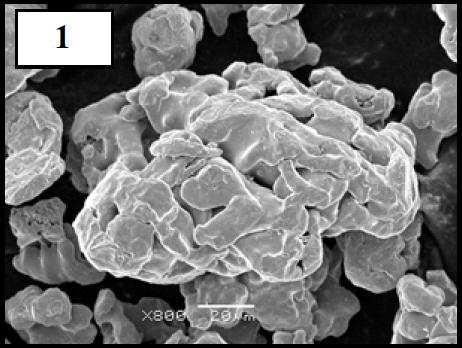 Il paratungstenato d ammonioviene cristallizzato tramite evaporazione dei solventi, calcinato e ridotto in idrogeno.