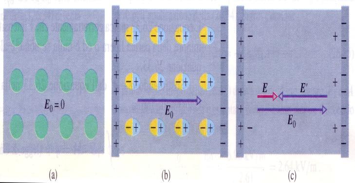 Se il dielettrico non ha dipoli permanenti la presenza del campo sposta il baricentro delle cariche positive da quello delle cariche