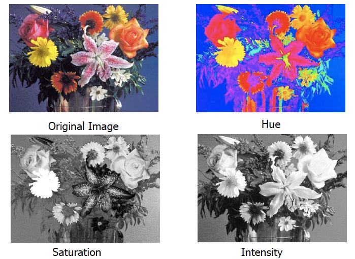 Elaborazione del colore //visione tricromatica: spazi di colore HSI (HSV) Elaborazione