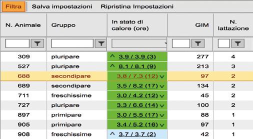 degli animali e ruminazione L è il pilastro delle performance