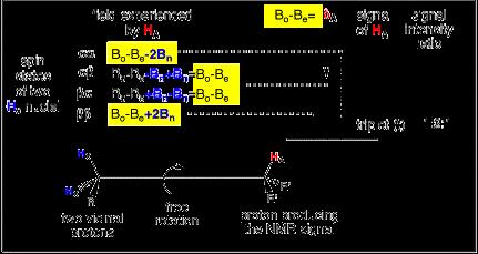 protone vicinale libera rotazione protone relativo al segnale osservato Campo