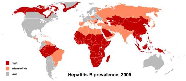 Epidemiologi a Nel mondo circa 1/3 della popolazione ha contratto l infezione da HBV Circa 400 milioni di