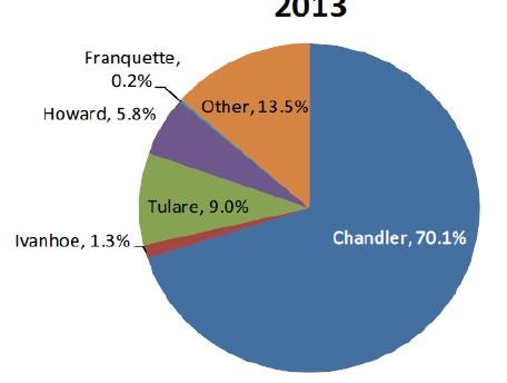 La nocicoltura in Italia: - Nocicoltura tradizionale in declino, necessita di rinnovamento; - Nocicoltura specializzata è in via di sviluppo, molti vantaggi competitivi; -Nocicoltura specializzata