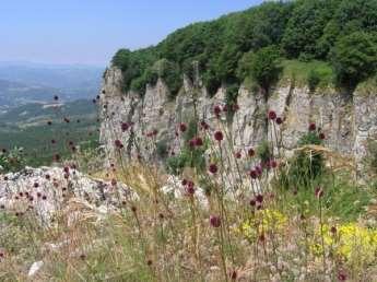 I Sassi: il gruppo montuoso del Sasso Simone e Simoncello occupa la parte più meridionale del parco per una