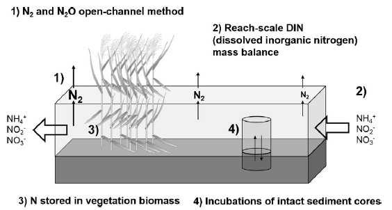 Figura 56 - Schema del metodo sperimentale di investigazione della perdita di azoto per denitrificazione (Castaldelli G., Soana E., Racchetti E., Vincenzi F.