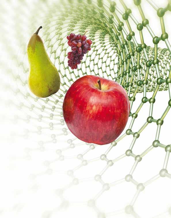 Novità GEOXE, il fungicida che innova la protezione dei frutti Previene alternaria, maculatura bruna e malattie da conservazione di melo e pero e botrite della vite Unico principio attivo con