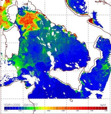 Ciclo del carbonio Il Mediterraneo è un pozzo o una fonte di C?