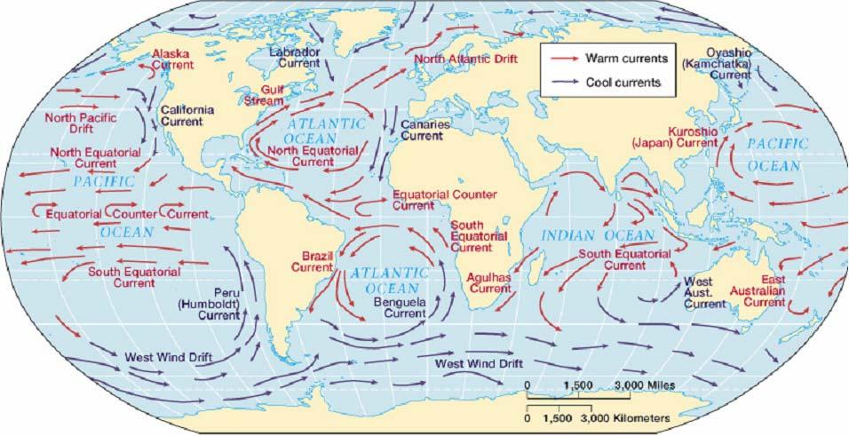 A scala globale la circolazione oceanica è