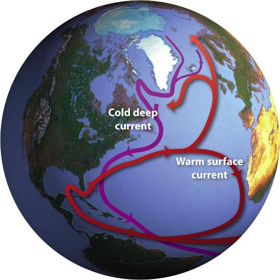 I TRASPORTI OCEANICI Dai tropici le acque calde superficiali salgono verso nord.
