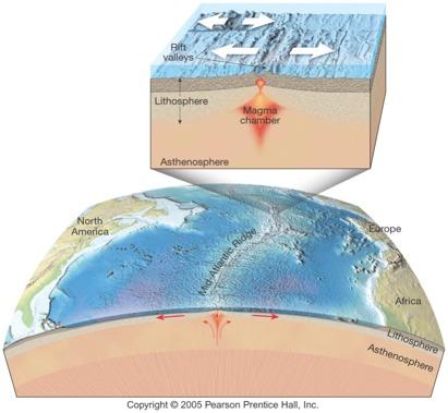 Dorsali medio-oceaniche Dominano le forme profonde Materiale del mantello risale per creare