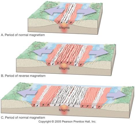 Inversioni magnetiche dai centri di espansione Rocce giovani risalgono e raffreddano dalle dorsali mediooceaniche,